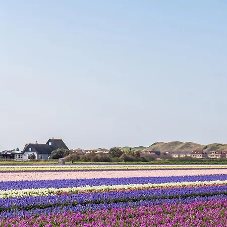 Hoeve Zuid - Groote Keeten Aan Zee Casa vacanze *